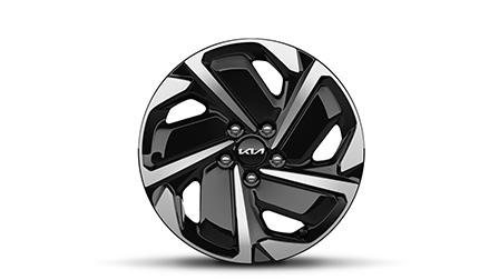 17-Zoll-Leichtmetallfelge